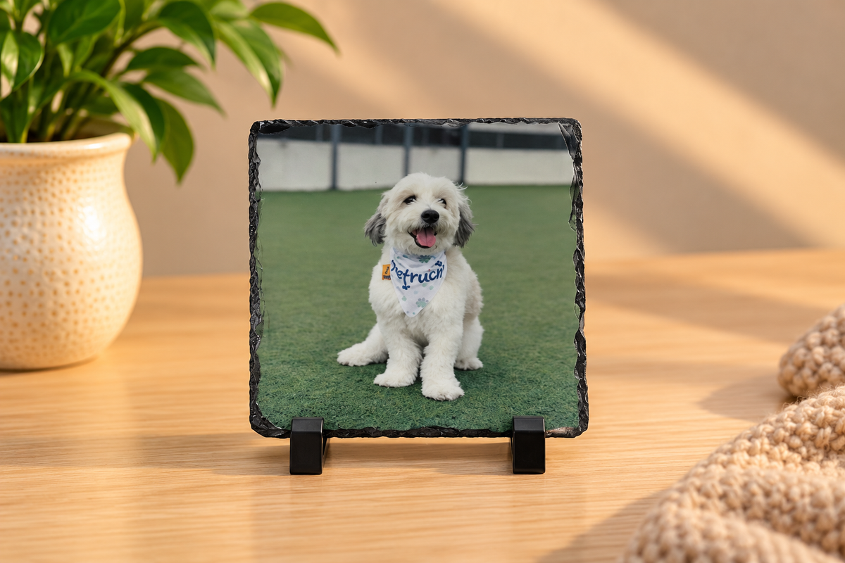 Pet stone portrait